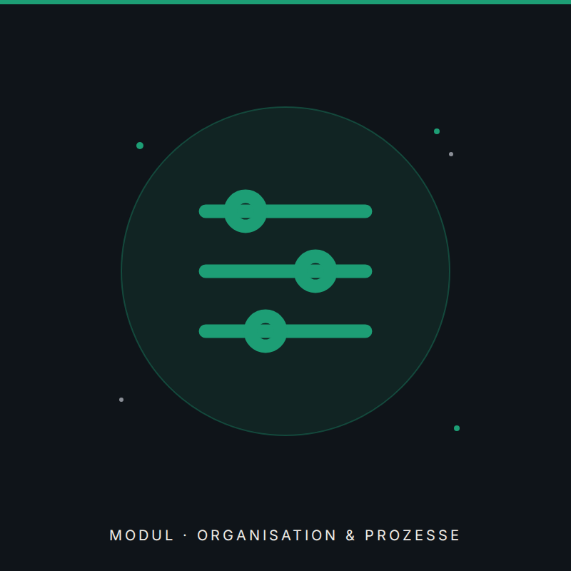 Modul · Organisation & Prozesse