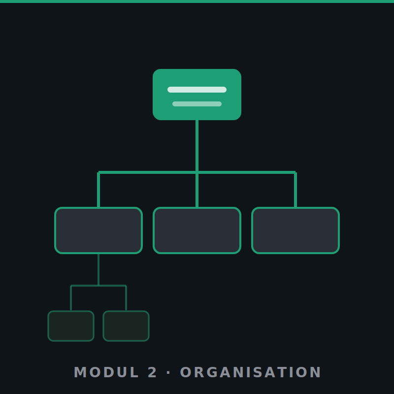 [MC-DL-0004] Modul · Optimierung: Organisation & Prozesse